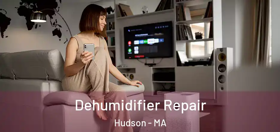 Dehumidifier Repair Hudson - MA