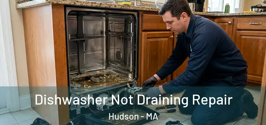  Dishwasher Not Draining Repair Hudson - MA