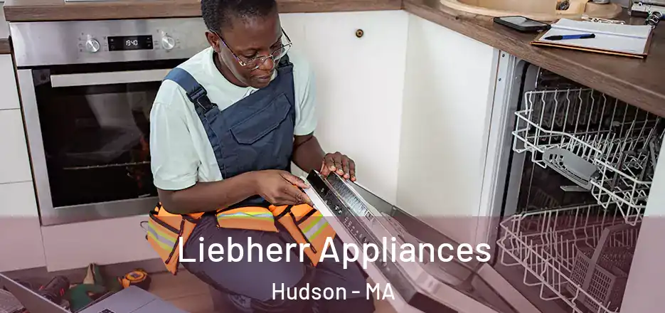 Liebherr Appliances Hudson - MA