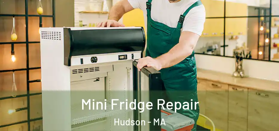 Mini Fridge Repair Hudson - MA