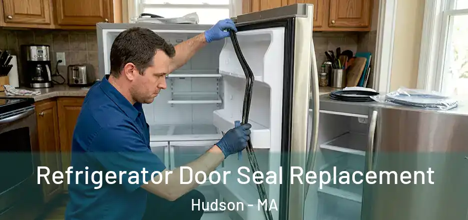  Refrigerator Door Seal Replacement Hudson - MA