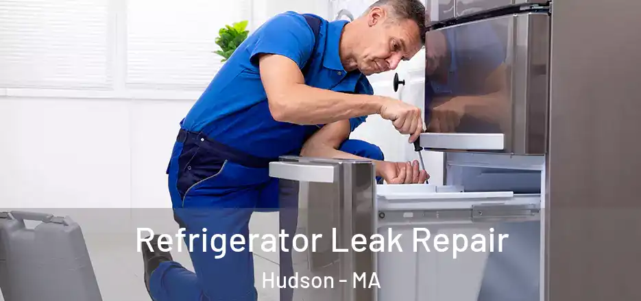 Refrigerator Leak Repair Hudson - MA