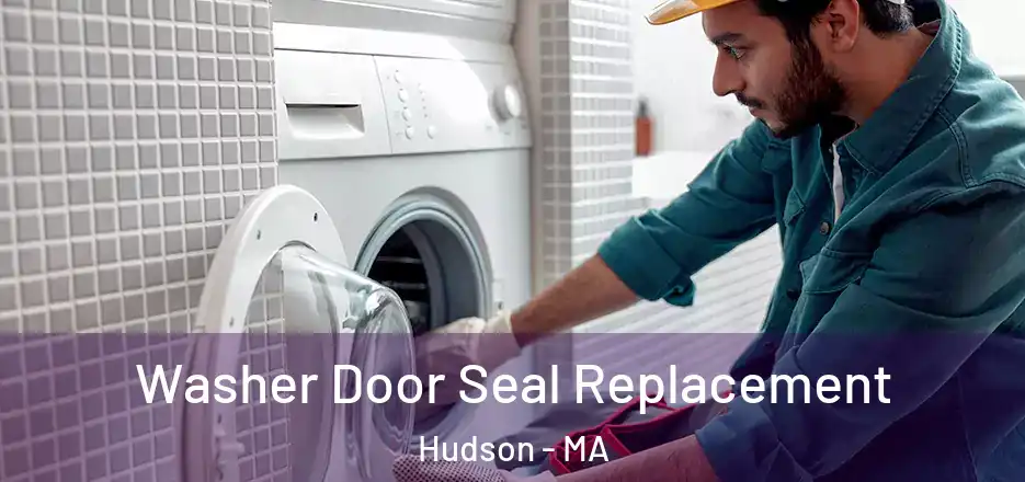 Washer Door Seal Replacement Hudson - MA