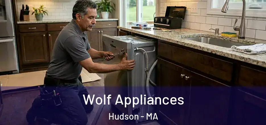 Wolf Appliances Hudson - MA